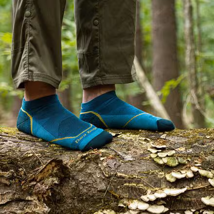 Light Hiker No-Show Lightweight Cushion Sock