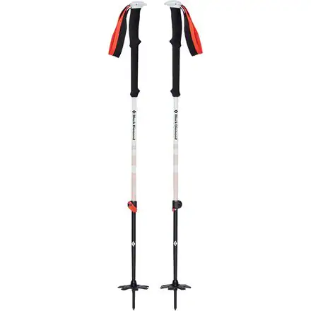 Expedition 2 Ski Poles