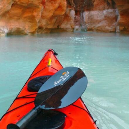 Manta Ray Carbon 2-Piece Snap-Button Paddle - 2022