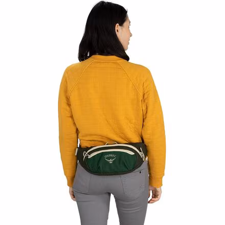 Daylite 2L Waist Pack