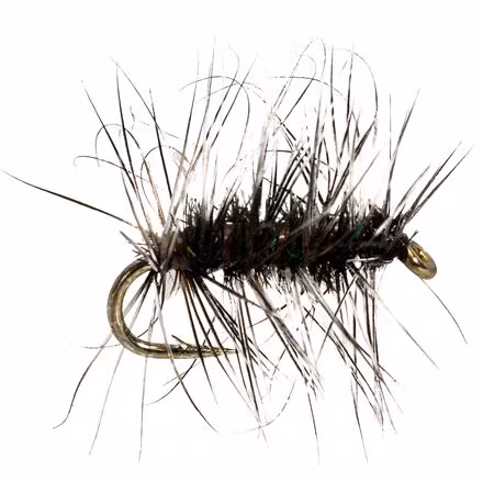 Griffith's Gnat - 12-Pack