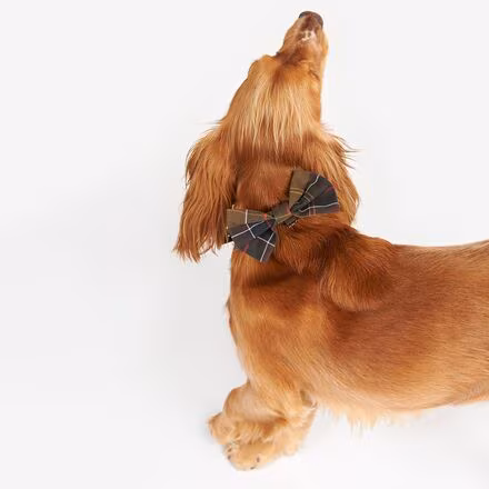 Tartan Dog Bow Tie