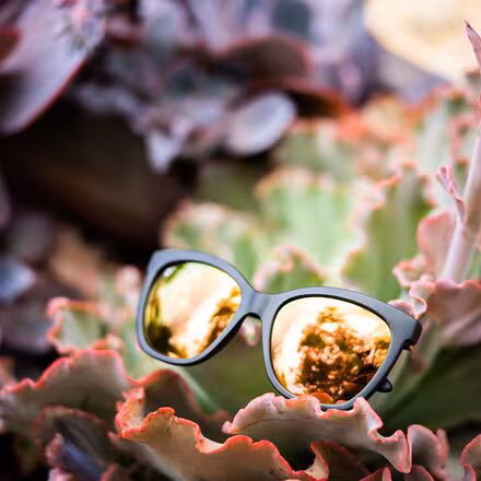 Deja Views Polarized Sunglasses