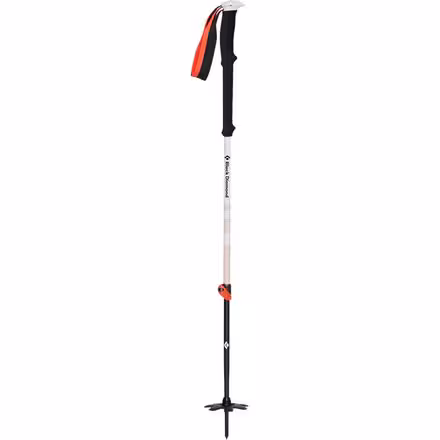 Expedition 2 Ski Poles