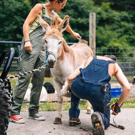 Freshley Drop Seat Overalls - Women's