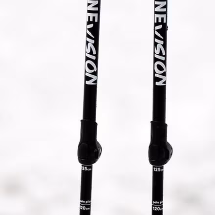 Vision Ski Pole