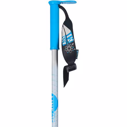 Wallischtick Ski Poles