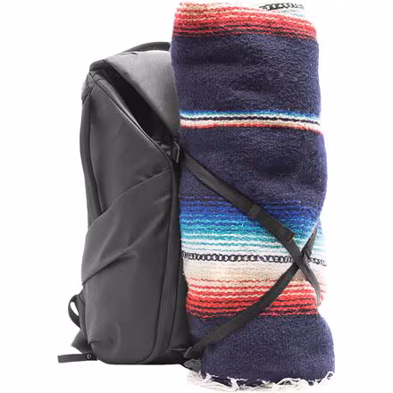 Everyday 20L Backpack