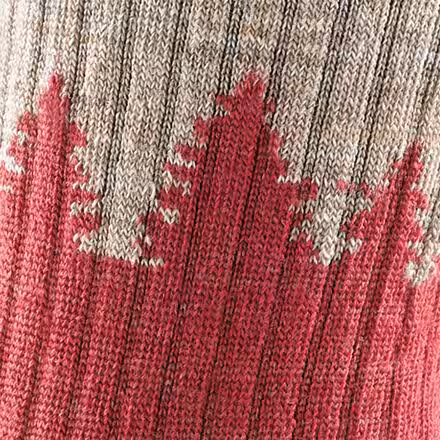 Treeline Micro Crew Cushion Sock - Women's