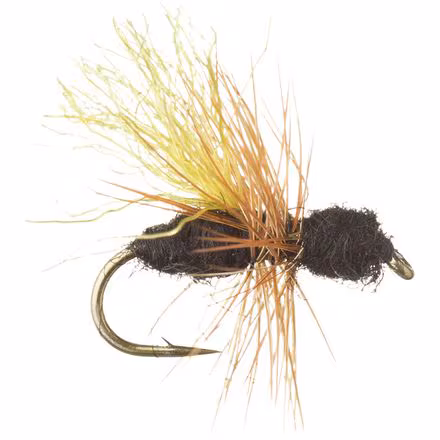 Black Flying Ant - 12-Pack