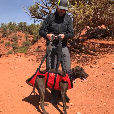 XL Airlift Emergency Dog Rescue Sling Package