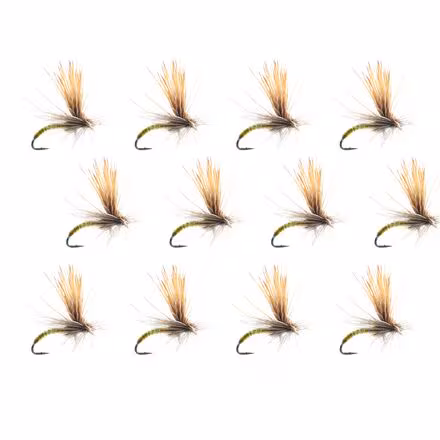 Missing Link 12-Pack