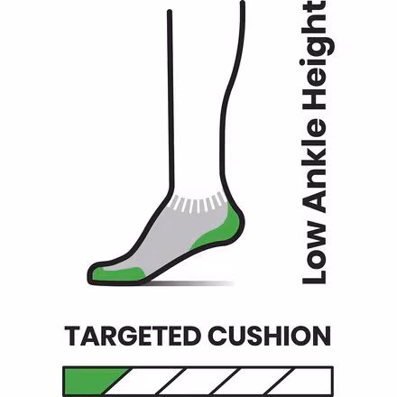 Run Targeted Cushion Stripe Low Ankle Sock - Women's