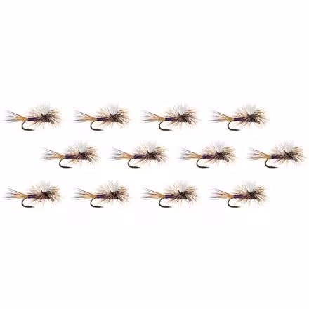 Carlson's Purple Haze - 12-Pack