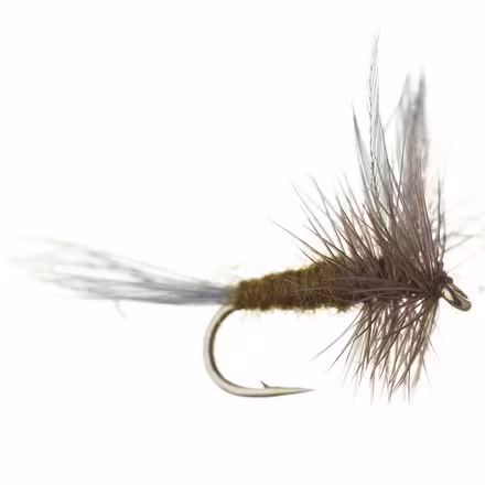 Traditional BWO - 12-Pack