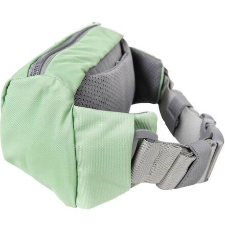 Forager 2.5L Hip Pack