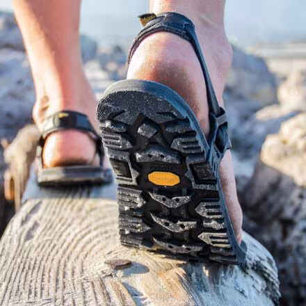 Middle Bear Winged Edition Sandal