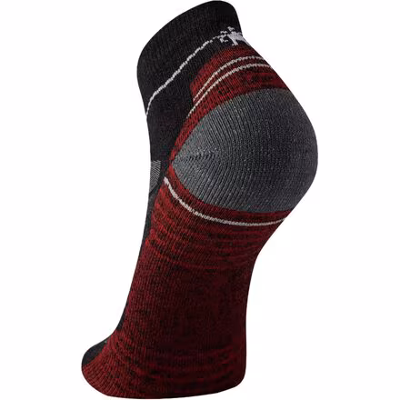 Performance Hike Light Cushion Ankle Sock