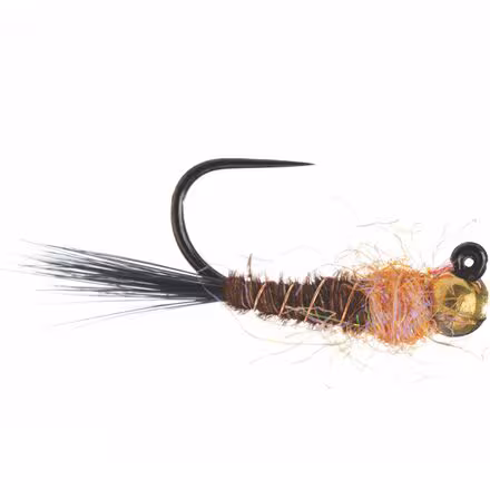 Frenchie Jig Egan's 12-Pack