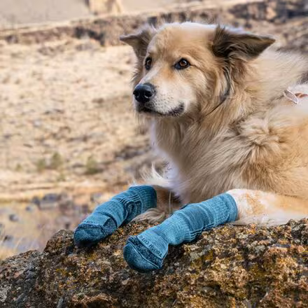 Eve Lightweight Hiker Crew Sock - Women's