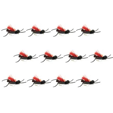 Thunder Thighs Hopper 12-Pack