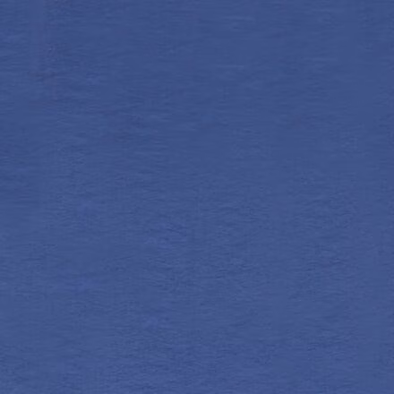 Trailscape Pull-On Short - Women's