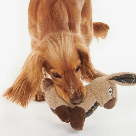 Rabbit Dog Toy