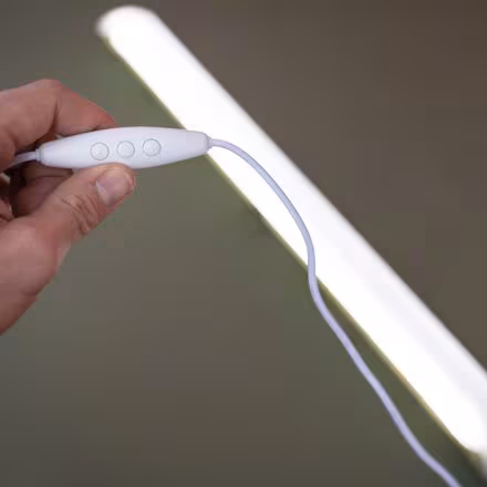 Everglow Light Tube