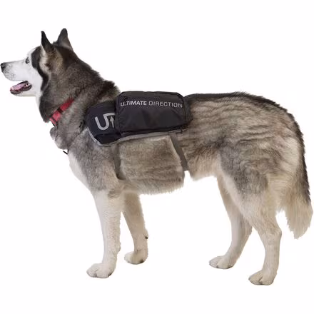 Dog Vest