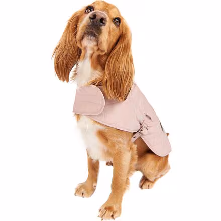 Quilted Dog Coat