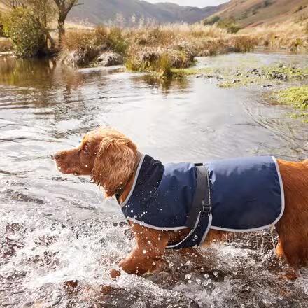 Monmouth Waterproof Dog Coat