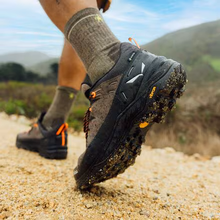 Alp Trainer 2 GTX Hiking Shoe - Men's