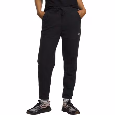 Alpine Polartec 100 Pant - Women's