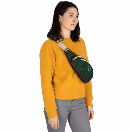 Daylite 2L Waist Pack