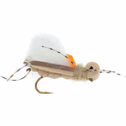 Thunder Thighs Hopper 12-Pack