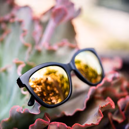 Deja Views Polarized Sunglasses