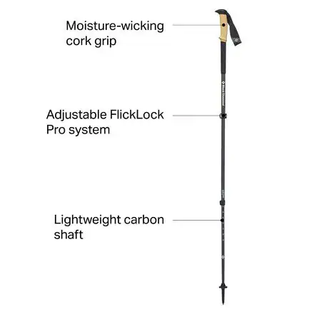 Alpine Carbon Cork Trekking Poles