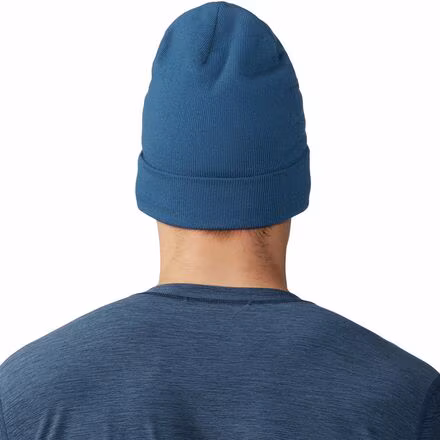 Everyones Favorite Beanie