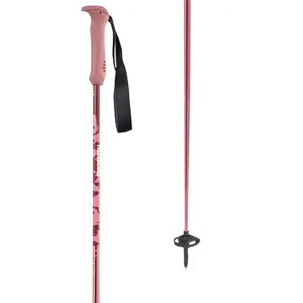 Descent Ti Ski Poles