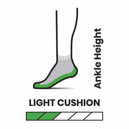 Performance Hike Light Cushion Ankle Sock