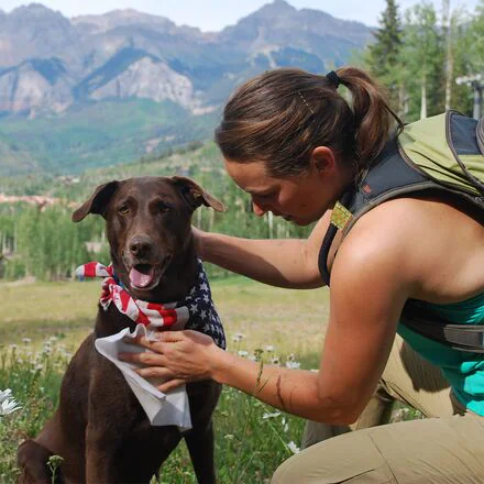 Adventure Dog Wipes
