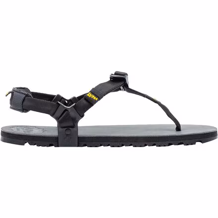 Middle Bear Winged Edition Sandal