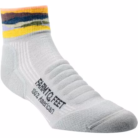 Max Patch 1/4 Lightweight Hiking Sock