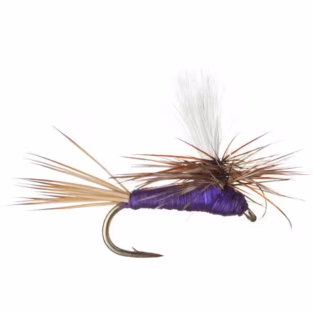 Carlson's Purple Haze - 12-Pack