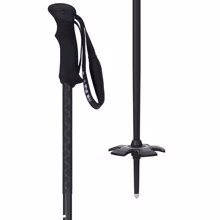Vision Ski Pole