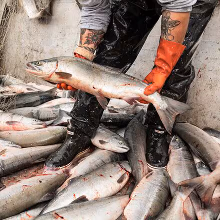 Ankle 6in Deck Boot - Men's