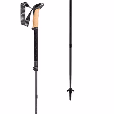 Black Series FX Carbon Trekking Poles