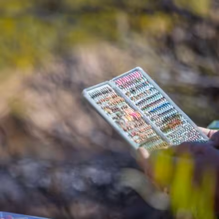 Tacky Original 2X Fly Box