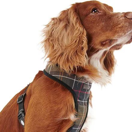 Tartan Dog Harness