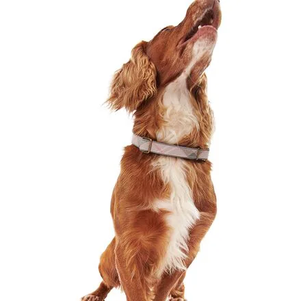 Reflective Tartan Dog Collar